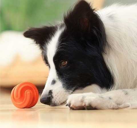 PetDreamHouse Zabawka gumowa Geo-Hex czerwona PetDreamHouse Zabawka gumowa Geo-Hex czerwona