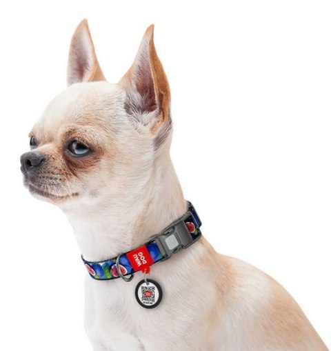 Collar WauDog Nylon Obroża nylonowa z QR-paszportem, plastikowy fastex, wzór FIGA, M 20mm/28-40cm Collar WauDog Nylon Obroża nylonowa z QR-paszportem, plastikowy fastex, wzór FIGA, M 20mm/28-40cm