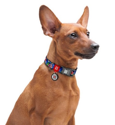 Collar WauDog Nylon Obroża nylonowa z QR-paszportem, plastikowy fastex, wzór FIGA, M 20mm/28-40cm Collar WauDog Nylon Obroża nylonowa z QR-paszportem, plastikowy fastex, wzór FIGA, M 20mm/28-40cm