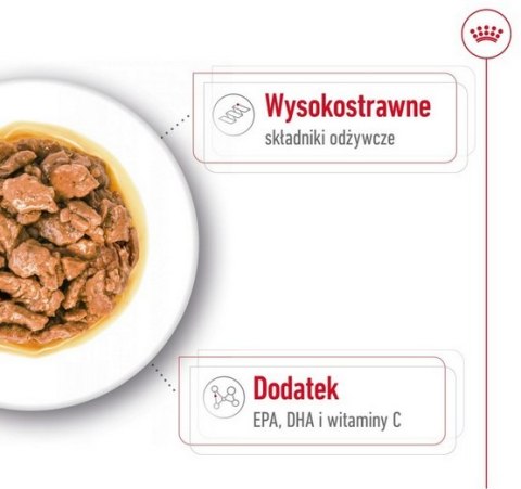 Royal Canin X-Small Adult w sosie saszetka 85g Royal Canin X-Small Adult w sosie saszetka 85g