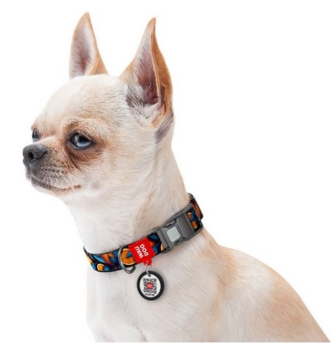 Collar WauDog Nylon Obroża nylonowa z QR-paszportem, plastikowy fastex, wzór POMARAŃCZE, 20mm/28-40cm Collar WauDog Nylon Obroża nylonowa z QR-paszportem, plastikowy fastex, wzór POMARAŃCZE, 20mm/28-40cm