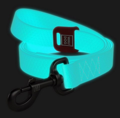 Collar WauDog Waterproof Smycz wodoodporna akumulująca światło M 20mm/183cm Collar WauDog Waterproof Smycz wodoodporna akumulująca światło M 20mm/183cm