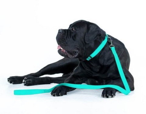 Collar WauDog Waterproof Smycz wodoodporna akumulująca światło M 20mm/183cm Collar WauDog Waterproof Smycz wodoodporna akumulująca światło M 20mm/183cm