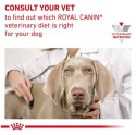 Royal Canin Veterinary Diet Canine Gastrointestinal Low Fat Small 1,5kg