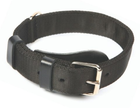 Dingo Obroża specjalna z taśmy 4,0x55-65cm czarna Dingo Obroża specjalna z taśmy 4,0x55-65cm czarna