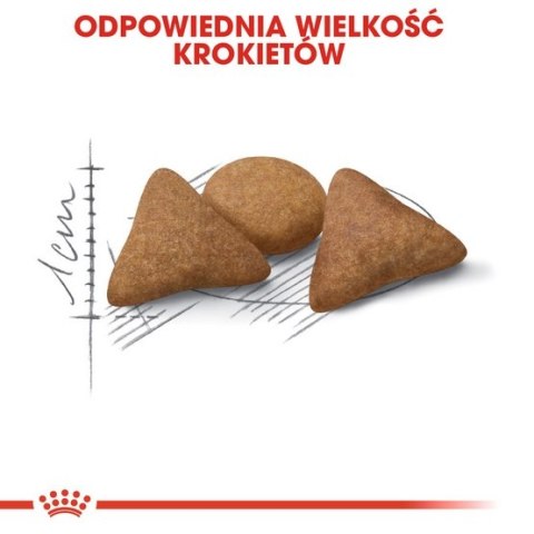 Royal Canin Indoor Apetite Control karma sucha dla kotów dorosłych, przebywających w domu, domagających się jedzenia 2kg Royal Canin Indoor Apetite Control karma sucha dla kotów dorosłych, przebywających w domu, domagających się jedzenia 2kg