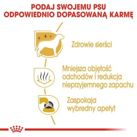 Royal Canin Maltese Adult karma sucha dla psów dorosłych rasy maltańczyk 500g Royal Canin Maltese Adult karma sucha dla psów dorosłych rasy maltańczyk 500g