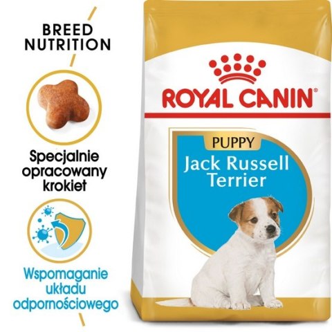 Royal Canin Jack Russell Terrier Puppy karma sucha dla szczeniąt do 10 miesiąca, rasy jack russell terrier 1,5kg Royal Canin Jack Russell Terrier Puppy karma sucha dla szczeniąt do 10 miesiąca, rasy jack russell terrier 1,5kg