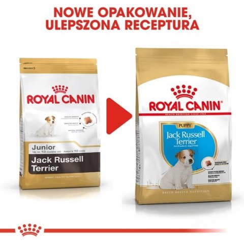 Royal Canin Jack Russell Terrier Puppy karma sucha dla szczeniąt do 10 miesiąca, rasy jack russell terrier 1,5kg Royal Canin Jack Russell Terrier Puppy karma sucha dla szczeniąt do 10 miesiąca, rasy jack russell terrier 1,5kg
