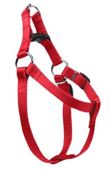 CHABA Szelki taśma regulowane nr 3 - obwód 60cm czerwone CHABA Szelki taśma regulowane nr 3 - obwód 60cm czerwone