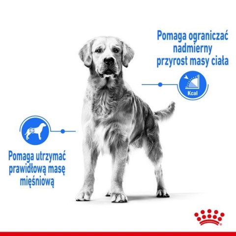 Royal Canin Medium Light Weight Care karma sucha dla psów dorosłych, ras średnich tendencją do nadwagi 3kg Royal Canin Medium Light Weight Care karma sucha dla psów dorosłych, ras średnich tendencją do nadwagi 3kg