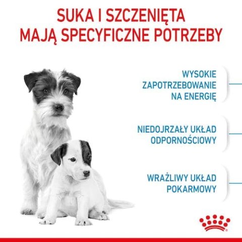 Royal Canin Mini Starter Mother&Babydog karma sucha dla szczeniąt do 2 miesiąca i suk karmiących ras małych 1kg Royal Canin Mini Starter Mother&Babydog karma sucha dla szczeniąt do 2 miesiąca i suk karmiących ras małych 1kg