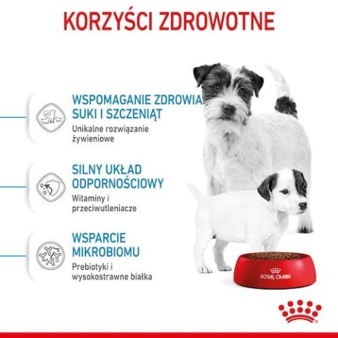 Royal Canin Mini Starter Mother&Babydog karma sucha dla szczeniąt do 2 miesiąca i suk karmiących ras małych 1kg Royal Canin Mini Starter Mother&Babydog karma sucha dla szczeniąt do 2 miesiąca i suk karmiących ras małych 1kg