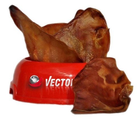 Vector-Food Ucho wieprzowe średnie 10szt Vector-Food Ucho wieprzowe średnie 10szt