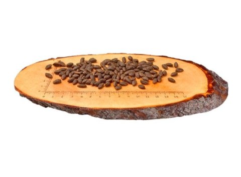 Carnilove Cat Salmon Sensitive & Long Hair - łosoś 400g Carnilove Cat Salmon Sensitive & Long Hair - łosoś 400g