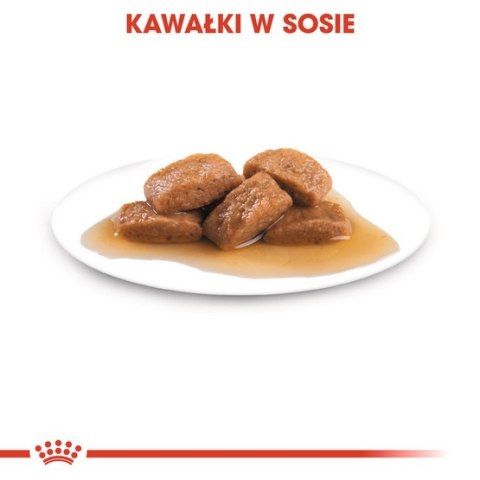 Royal Canin Maxi Adult karma mokra w sosie dla psów dorosłych, do 5 roku życia, ras dużych saszetka 140g Royal Canin Maxi Adult karma mokra w sosie dla psów dorosłych, do 5 roku życia, ras dużych saszetka 140g