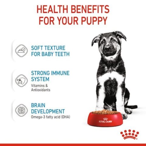 Royal Canin Maxi Puppy karma mokra w sosie dla szczeniąt, od 2 do 15 miesiąca życia, ras dużych saszetka 140g Royal Canin Maxi Puppy karma mokra w sosie dla szczeniąt, od 2 do 15 miesiąca życia, ras dużych saszetka 140g