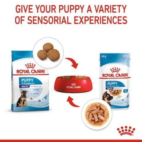 Royal Canin Maxi Puppy karma mokra w sosie dla szczeniąt, od 2 do 15 miesiąca życia, ras dużych saszetka 140g Royal Canin Maxi Puppy karma mokra w sosie dla szczeniąt, od 2 do 15 miesiąca życia, ras dużych saszetka 140g