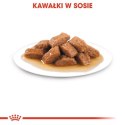 Royal Canin Medium Ageing 10+ karma mokra w sosie dla psów dojrzałych po 10 roku życia, ras średnich saszetka 140g