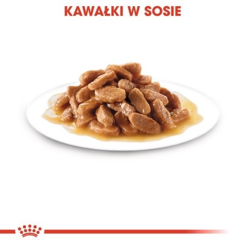Royal Canin Medium Puppy karma mokra w sosie dla szczeniąt, od 2 do 12 miesiąca, ras średnich 140g Royal Canin Medium Puppy karma mokra w sosie dla szczeniąt, od 2 do 12 miesiąca, ras średnich 140g