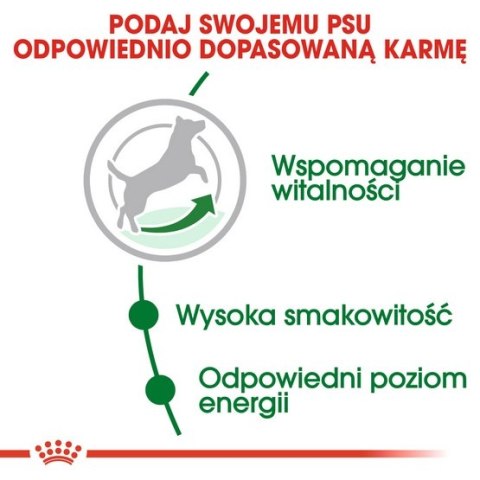 Royal Canin Mini Adult karma mokra w sosie dla psów dorosłych, ras małych saszetka 85g Royal Canin Mini Adult karma mokra w sosie dla psów dorosłych, ras małych saszetka 85g