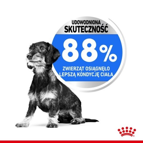 Royal Canin Mini Light Weight Care karma sucha dla psów dorosłych, ras małych z tendencją do nadwagi 1kg Royal Canin Mini Light Weight Care karma sucha dla psów dorosłych, ras małych z tendencją do nadwagi 1kg