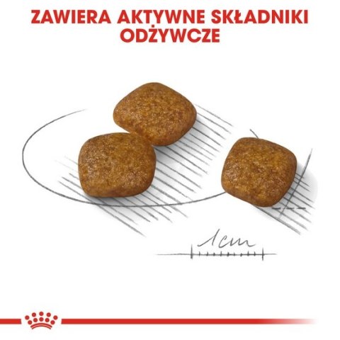 Royal Canin Mini Urinary Care karma sucha dla psów dorosłych, ras małych, ochrona dolnych dróg moczowych 1kg Royal Canin Mini Urinary Care karma sucha dla psów dorosłych, ras małych, ochrona dolnych dróg moczowych 1kg