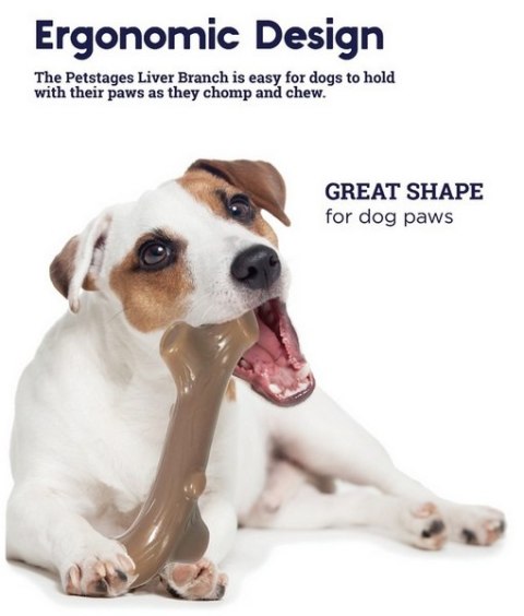 Petstages Liver Branch small PS68609 Petstages Liver Branch small PS68609