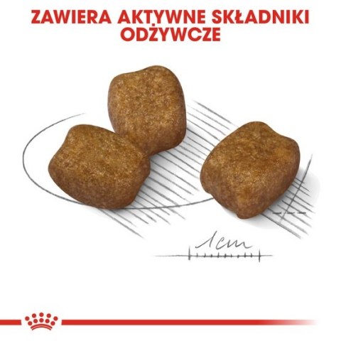 Royal Canin Mini Dental Care karma sucha dla psów dorosłych, ras małych, redukująca powstawanie kamienia nazębnego 1kg Royal Canin Mini Dental Care karma sucha dla psów dorosłych, ras małych, redukująca powstawanie kamienia nazębnego 1kg