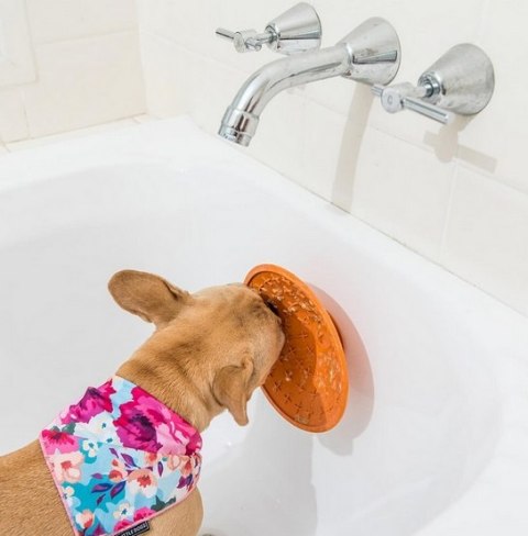 LickiMat Splash miska z przyssawką turkusowa LickiMat Splash miska z przyssawką turkusowa