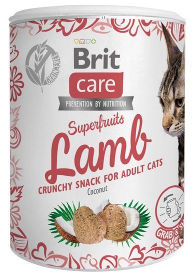 Brit Care Cat Snack Superfruits Lamb 100g Brit Care Cat Snack Superfruits Lamb 100g