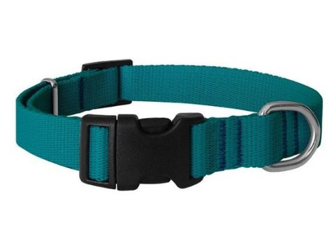 CHABA Obroża taśma regulowana gładka 25mm/60cm morska CHABA Obroża taśma regulowana gładka 25mm/60cm morska
