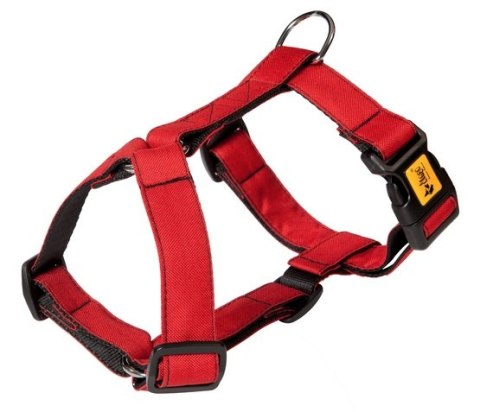Dingo Szelki Guard dwupaskowe Scandi 2cm rozmiar S czerwone Dingo Szelki Guard dwupaskowe Scandi 2cm rozmiar S czerwone