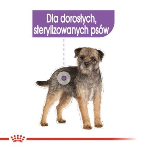 Royal Canin Sterilised karma mokra dla psów dorosłych, wszystkich ras po sterylizacji, pasztet saszetka 85g Royal Canin Sterilised karma mokra dla psów dorosłych, wszystkich ras po sterylizacji, pasztet saszetka 85g