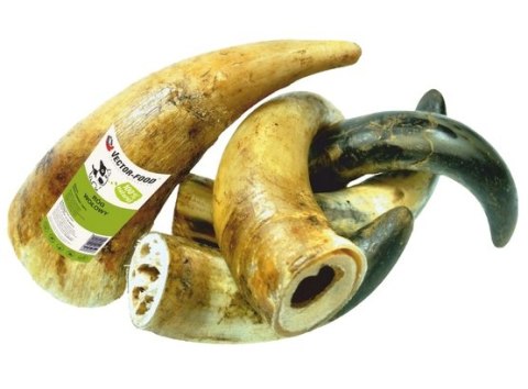 Vector-Food Róg wołowy mały 1szt Vector-Food Róg wołowy mały 1szt